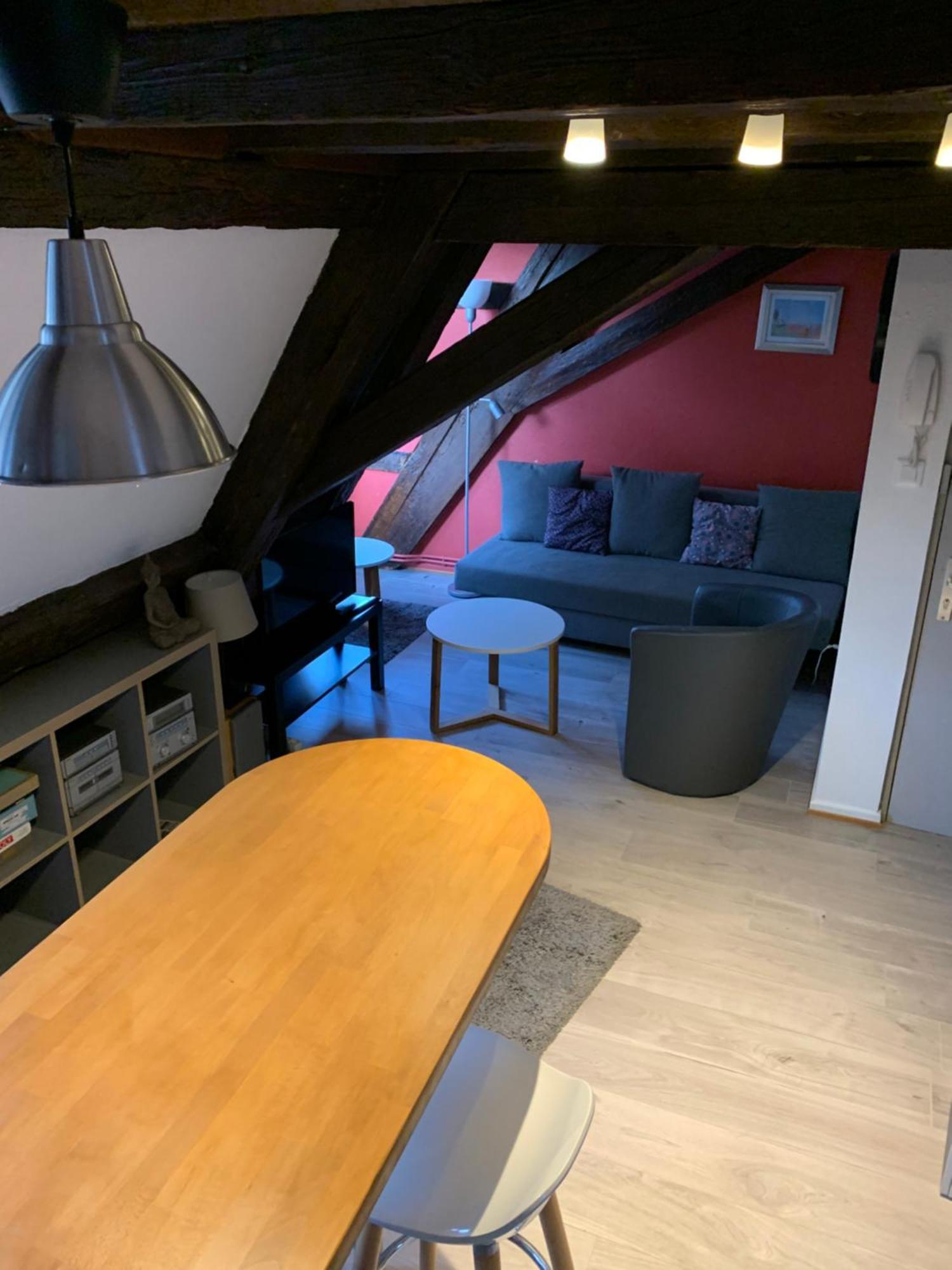 Appartement Duplex 2A Rue D'Alspach Colmar Ngoại thất bức ảnh